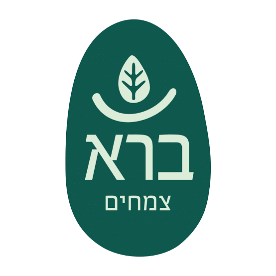 בראַא ח' בע"מ